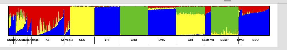 blueorder.png